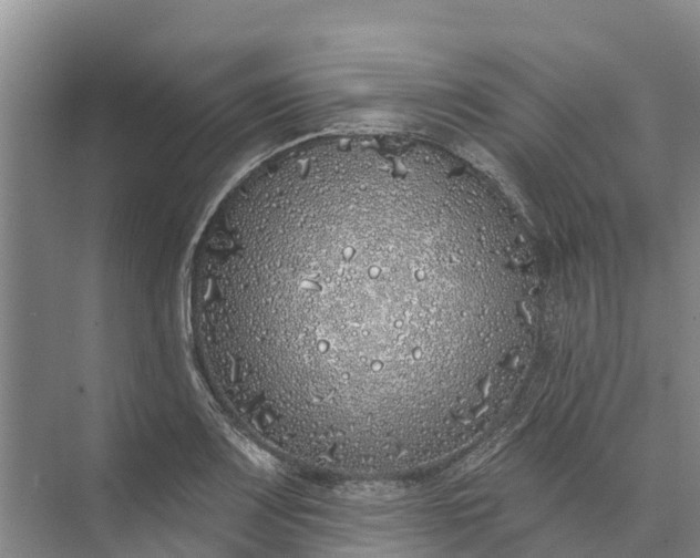 X0000072941083200608041236