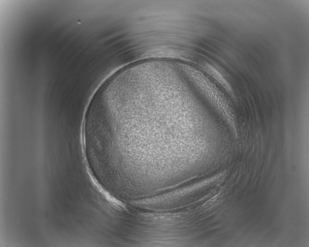 X0000072941084200608041236