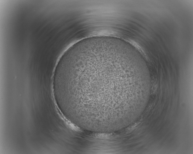 X0000072941086200608041236