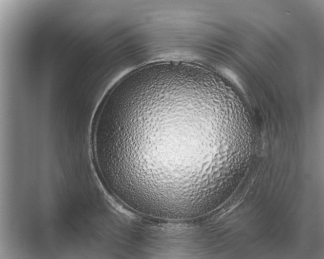 X0000072941087200608041236