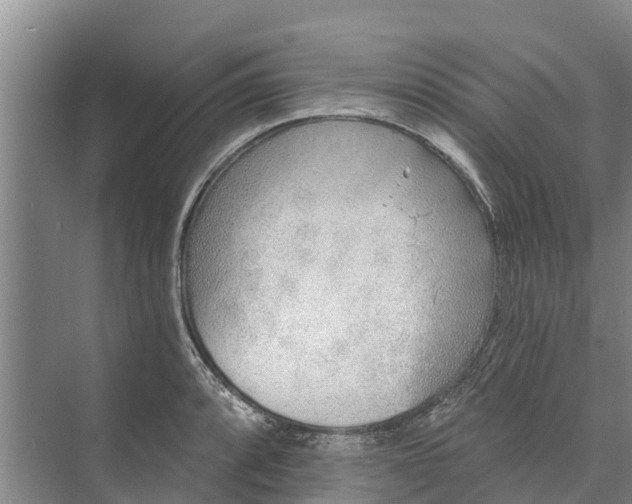 X0000072941088200608041236