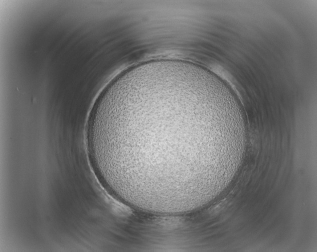 X0000072941090200608041235