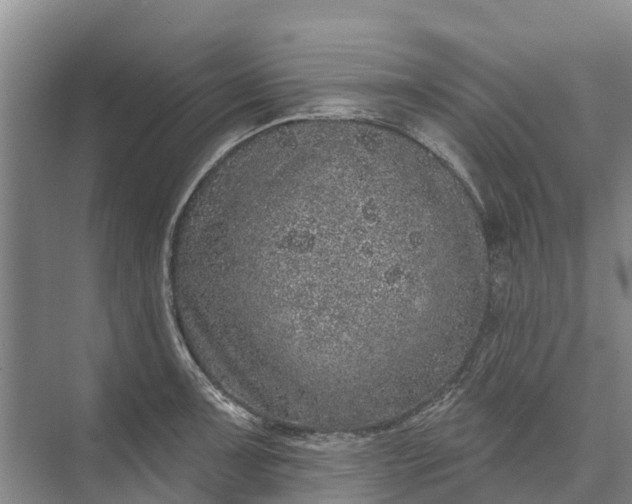 X0000072941091200608041235