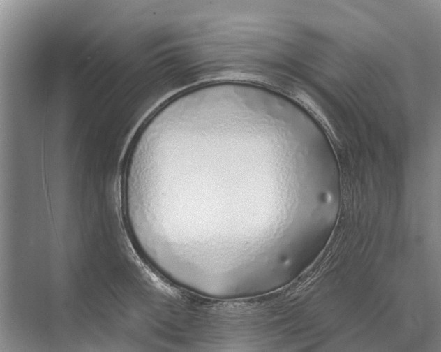 X0000072941092200608041235