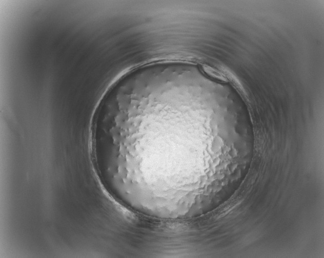 X0000072941095200608041235