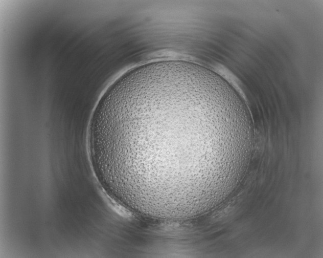 X0000072941098200608041235