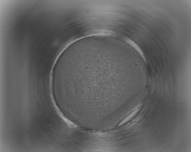 X0000072941099200608041235