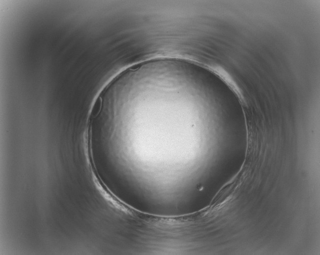 X0000072941100200608041235