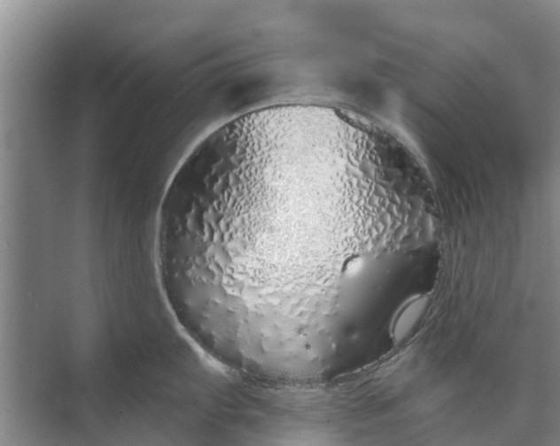 X0000072941103200608041235