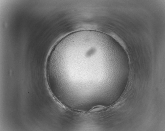 X0000072941104200608041235