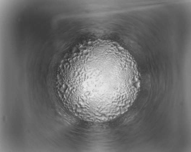 X0000072941105200608041234