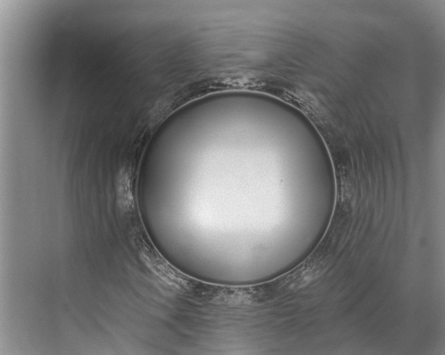 X0000072941106200608041234