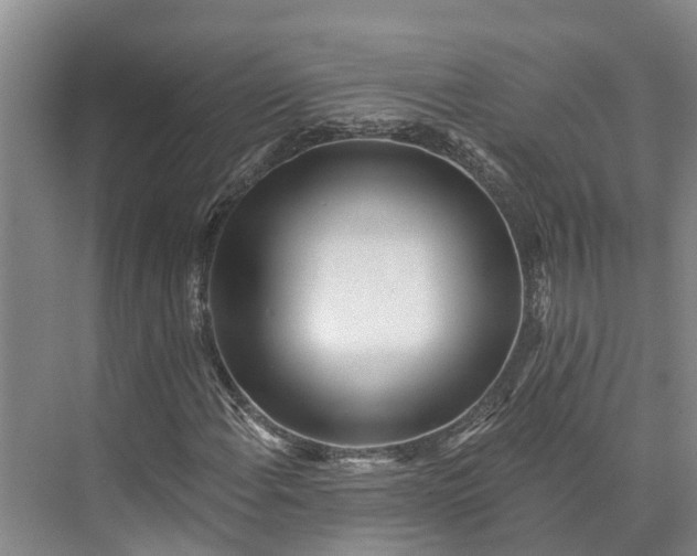 X0000072941108200608041234