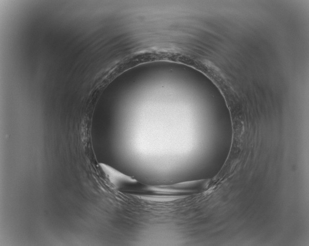 X0000072941110200608041235