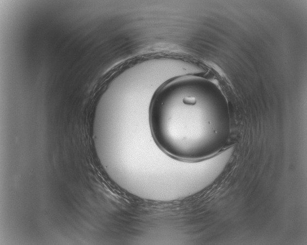 X0000072941112200608041235