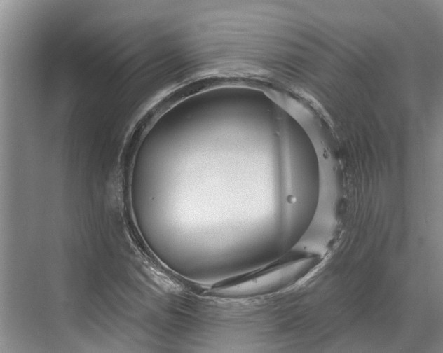 X0000072941114200608041235