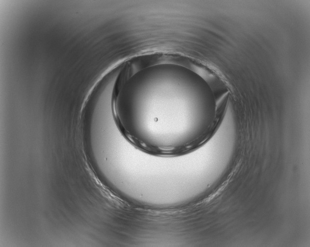 X0000072941118200608041235