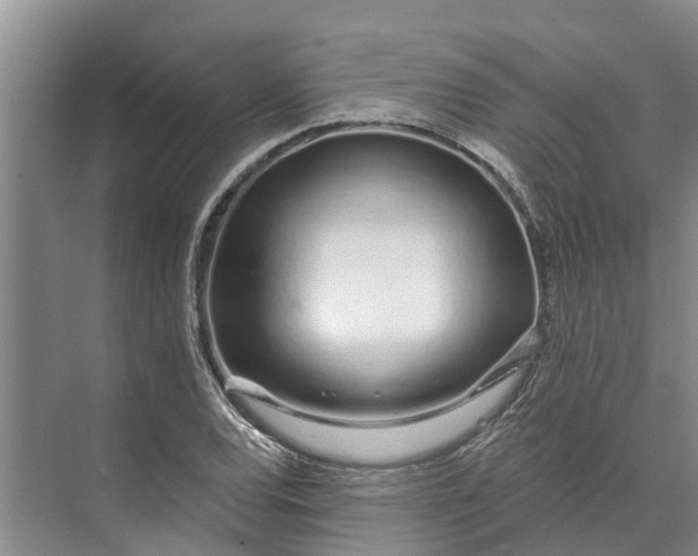 X0000072941120200608041235