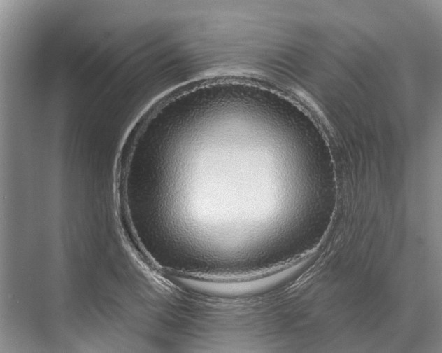 X0000072941124200608041235