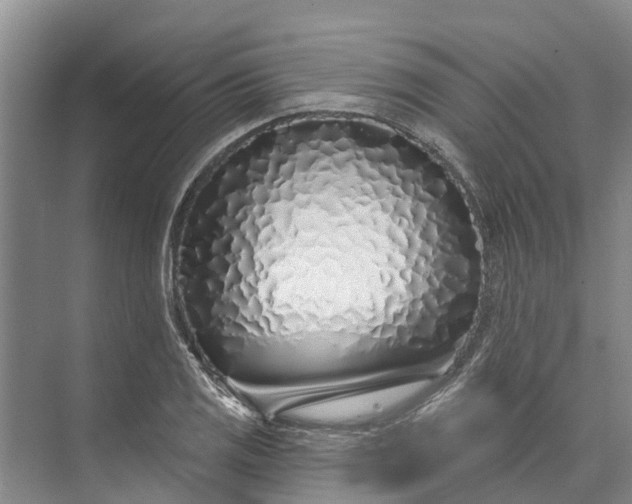 X0000072941125200608041235