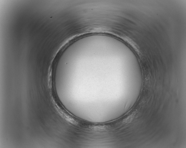 X0000072941126200608041235