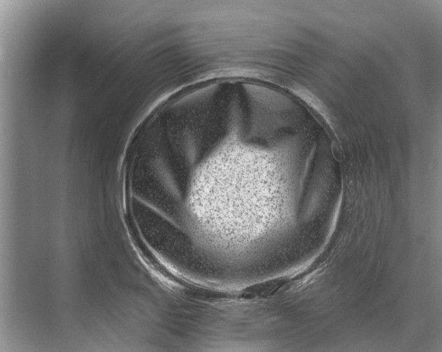 X0000072941127200608041235