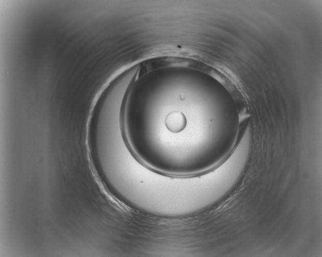 X0000072941128200608041235