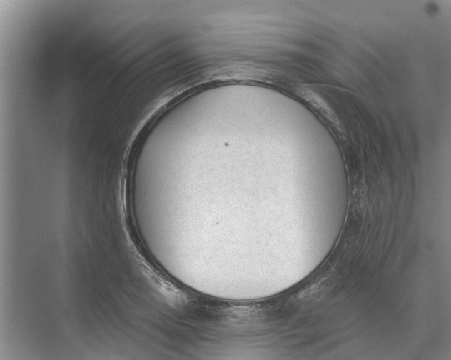 X0000072941130200608041235