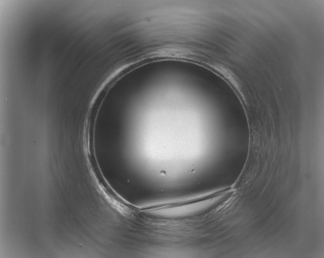 X0000072941131200608041235