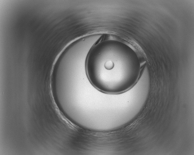 X0000072941132200608041235