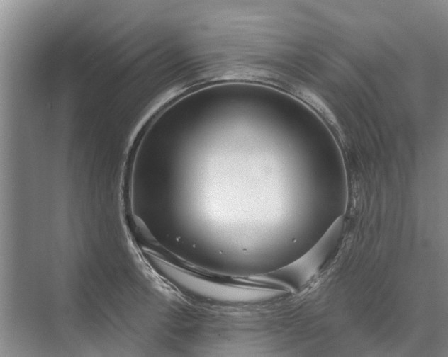 X0000072941138200608041235