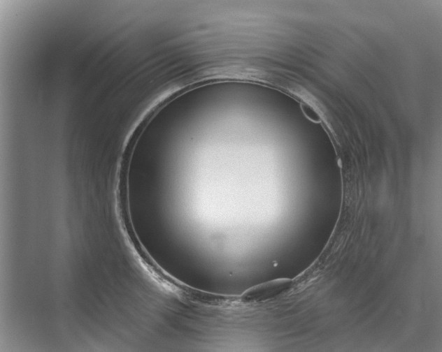 X0000072941139200608041235