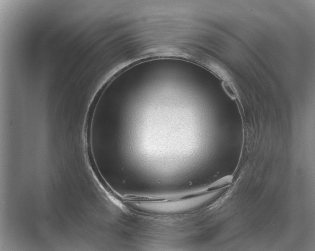 X0000072941141200608041235