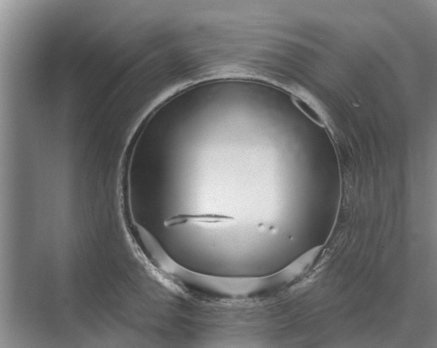 X0000072941142200608041235