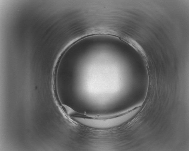 X0000072941144200608041235