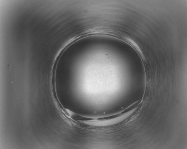 X0000072941146200608041235