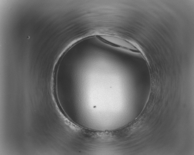 X0000072941147200608041235