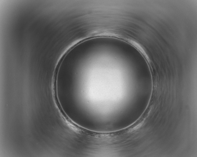 X0000072941149200608041235