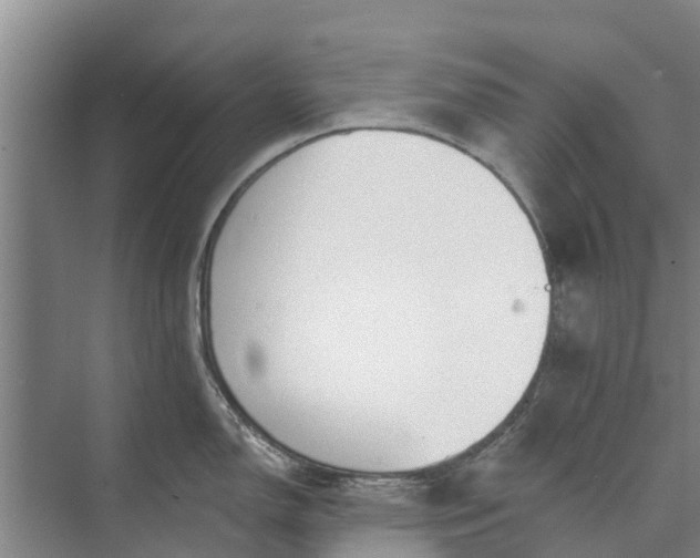 X0000072941150200608041235