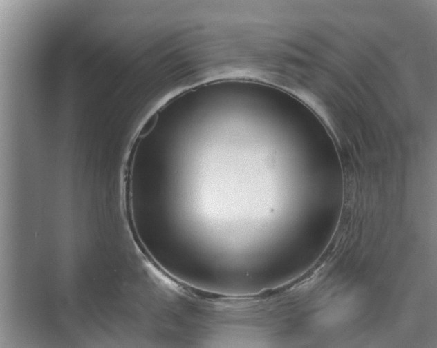 X0000072941151200608041235