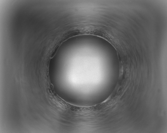 X0000072941153200608041234