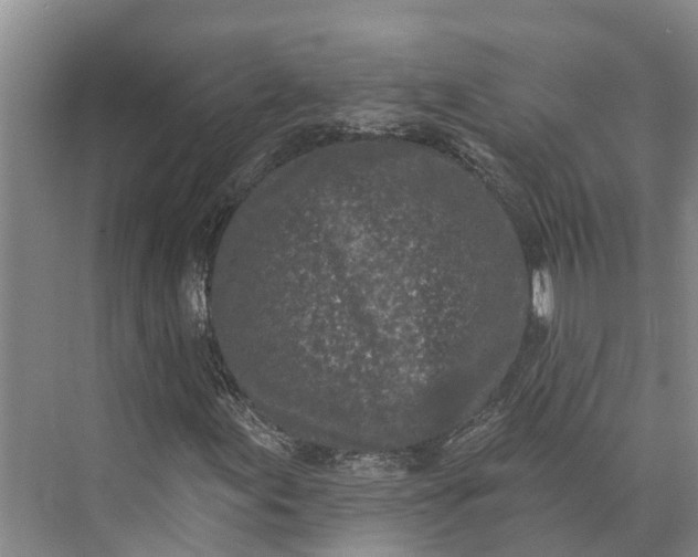 X0000072941155200608041234