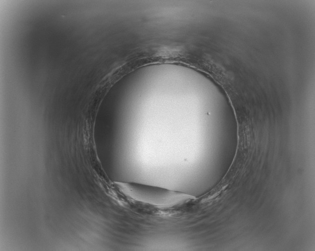 X0000072941158200608041234