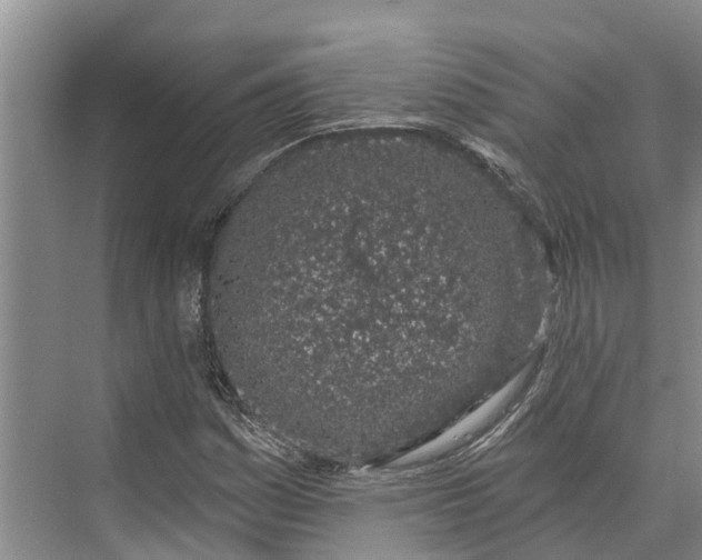 X0000072941161200608041234