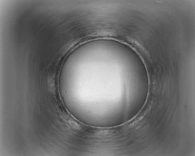 X0000072941162200608041234