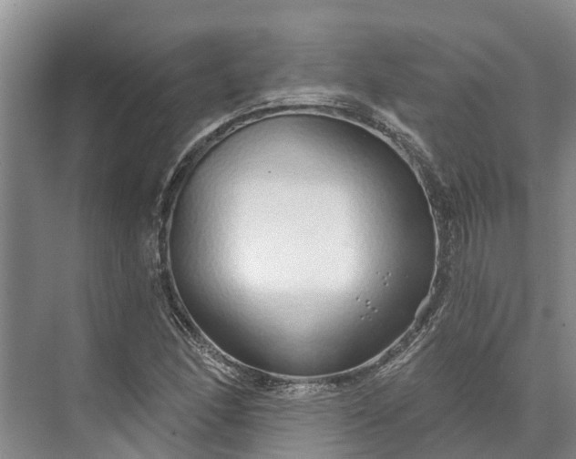 X0000072941166200608041234