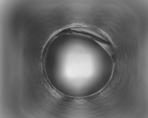 X0000072941168200608041234