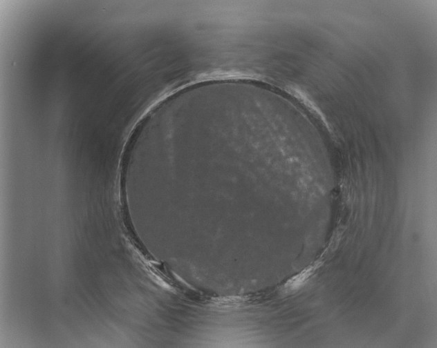 X0000072941173200608041234