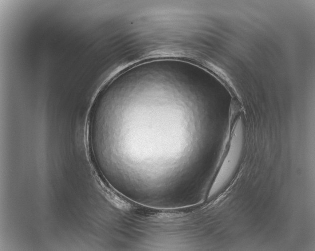 X0000072941179200608041234