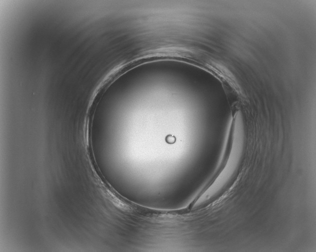 X0000072941180200608041234